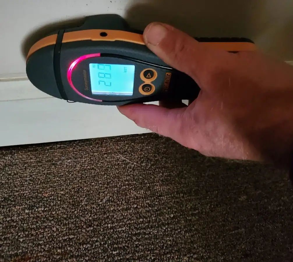 Moisture detection at baseboard during Storm Damage Restoration in Phelan