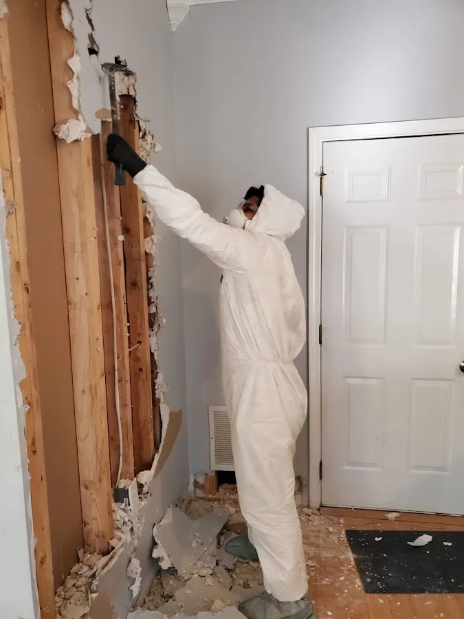 Water Damage Assessment in Phelan, CA
